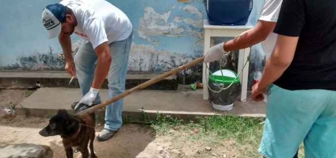 Campanha antirrábica