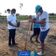 Secretaria do Meio Ambiente realiza plantação de mudas para o paisagismo do antigo lixão