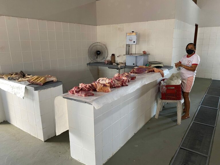GALERIA DE FOTOS (2022) — foto 7