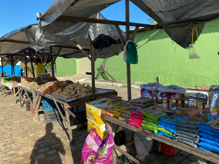GALERIA DE FOTOS (2022) — foto 12