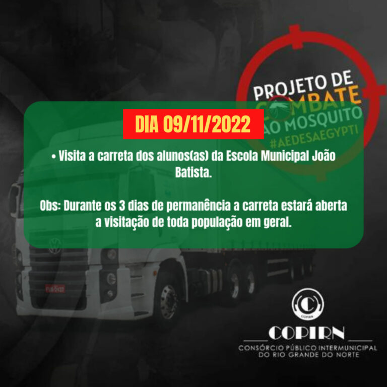 Projeto de combate ao mosquito da dengue — foto 4