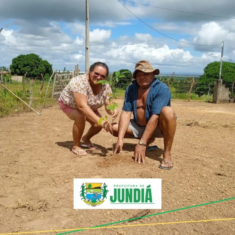Entrega de CAF e de Mudas aos Agricultores de Santa Fé — foto 4
