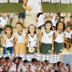 O Programa Saúde na Escola (PSE).