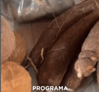 entrega dos kits de alimentos do Programa de Aquisição de Alimentos (PAA)