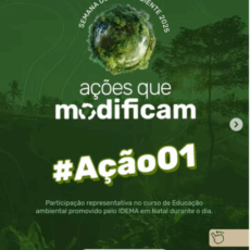Educação Ambiental em Foco!