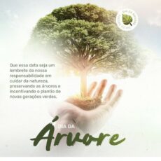 21 de Setembro – Dia da Árvore