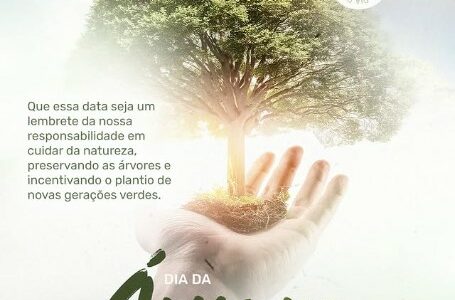 21 de Setembro – Dia da Árvore