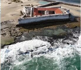 O Projeto Juventude em Ação segue proporcionando novas experiências para nossos jovens!