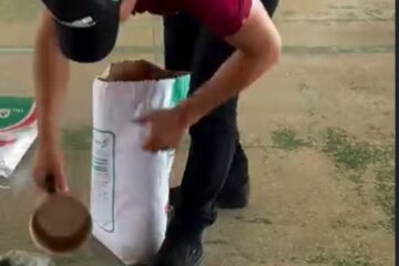 Entrega de Sementes pela EMATER