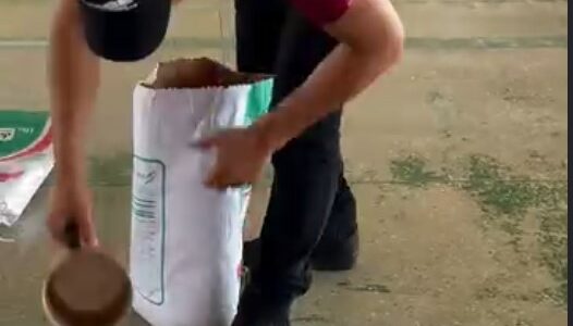 Entrega de Sementes pela EMATER