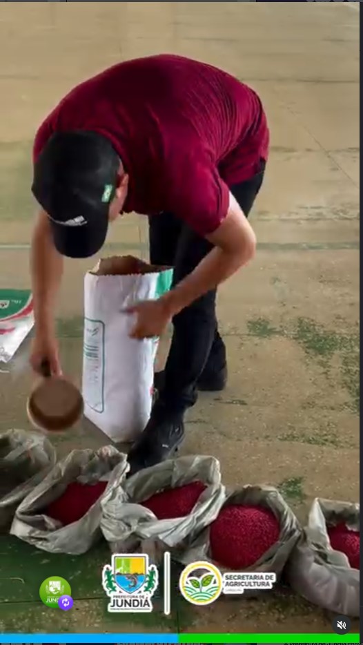 Entrega de Sementes pela EMATER