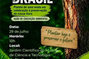  PAU-BRASIL: um símbolo da nossa história e da preservação ambiental