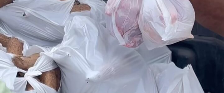 O PAA segue fortalecendo a agricultura familiar e levando alimentos O PAA segue fortalecendo a agricultura familiar e levando alimentos
